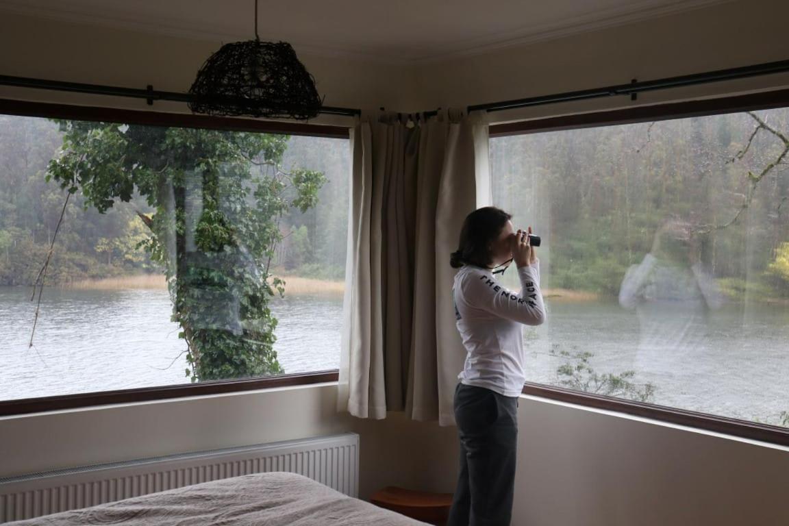 Casa Rio Vivo Villa Valdivia Rom bilde