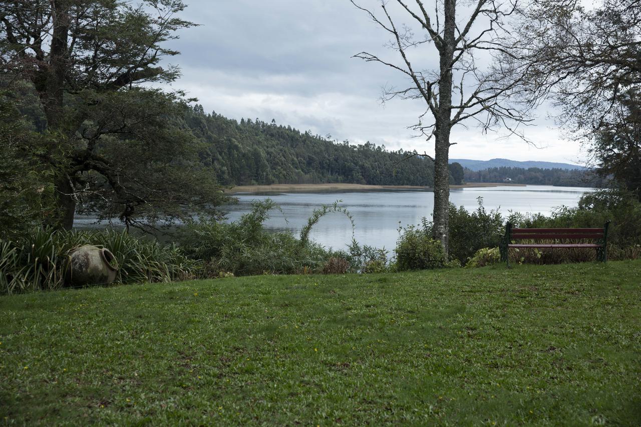 Casa Rio Vivo Villa Valdivia Eksteriør bilde