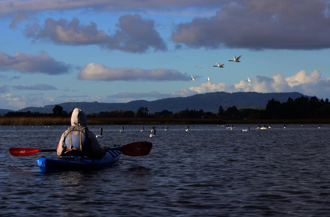 Casa Rio Vivo Villa Valdivia Eksteriør bilde